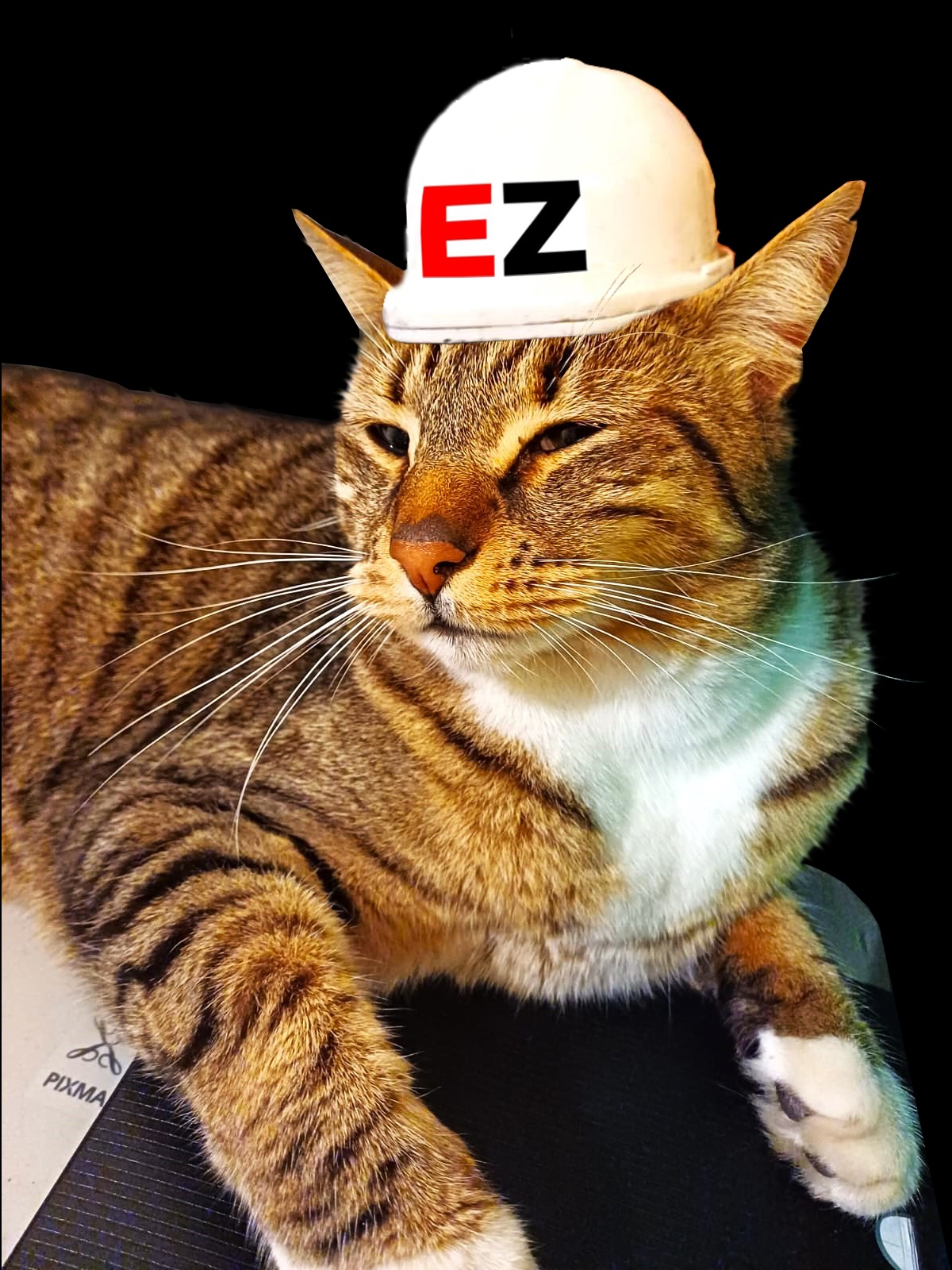Mascota del equipo EZARC